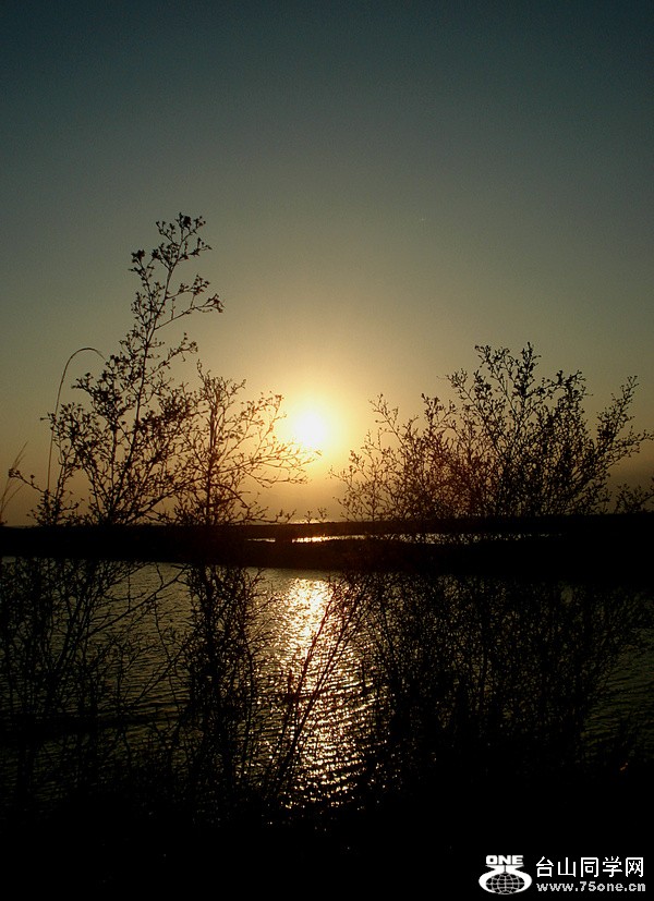 DSC00430.jpg
