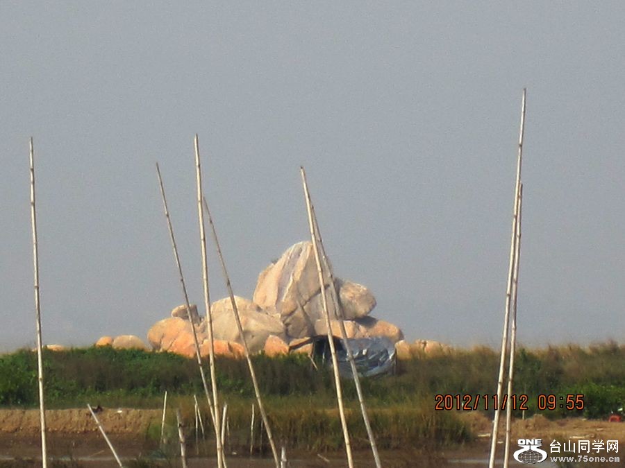 IMG_2047.jpg