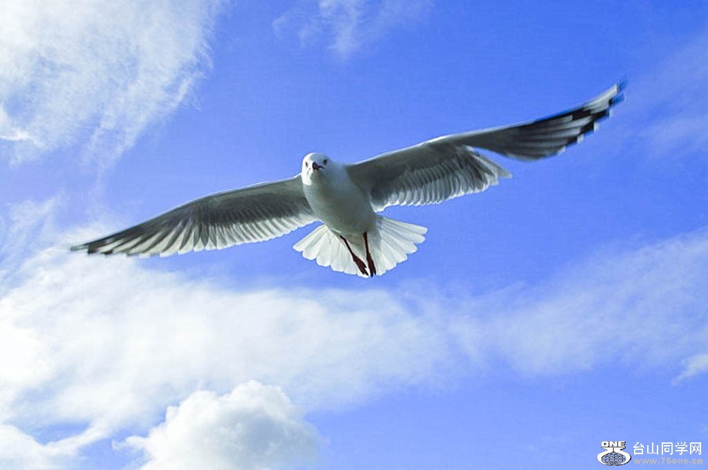 _DSC0256 [800x600].jpg