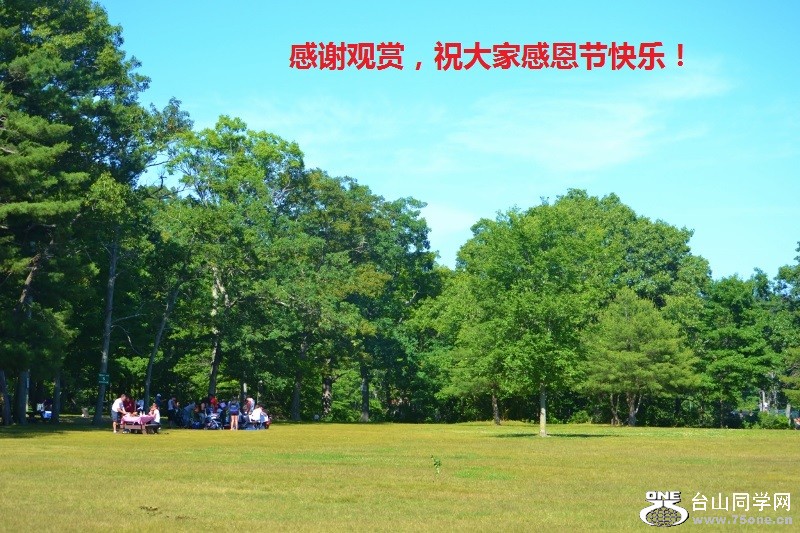 290 (800x533).jpg