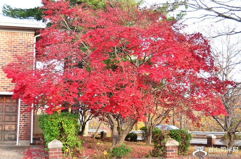 DSC_2382__.jpg