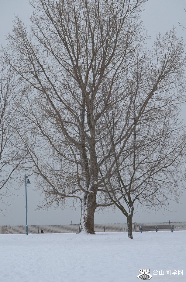 DSC_2511.JPG