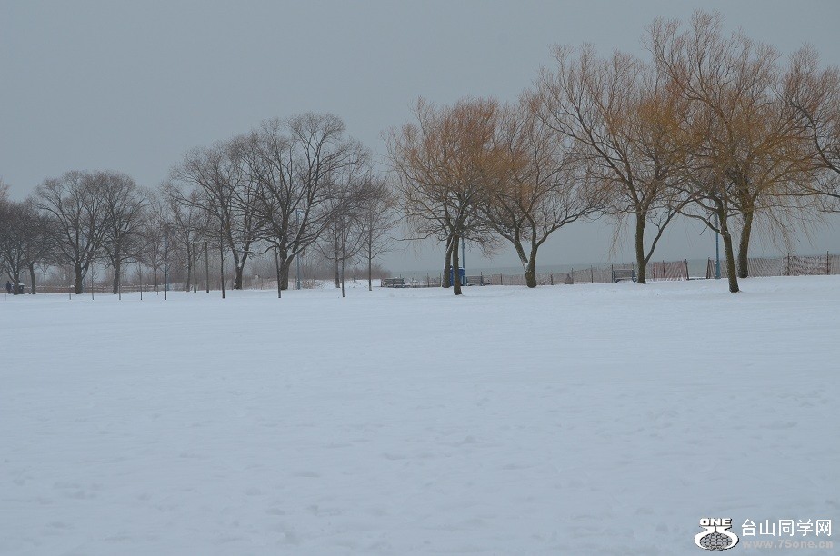 DSC_2506.JPG