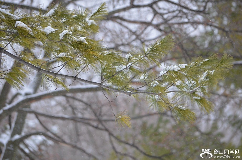 DSC_2512.JPG