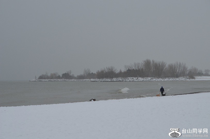 DSC_2480.JPG