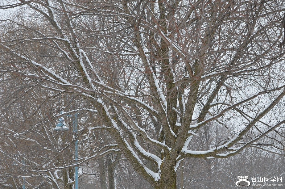 DSC_2499.JPG