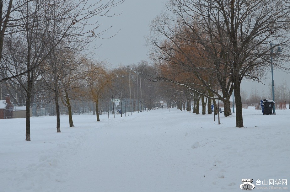 DSC_2505.JPG
