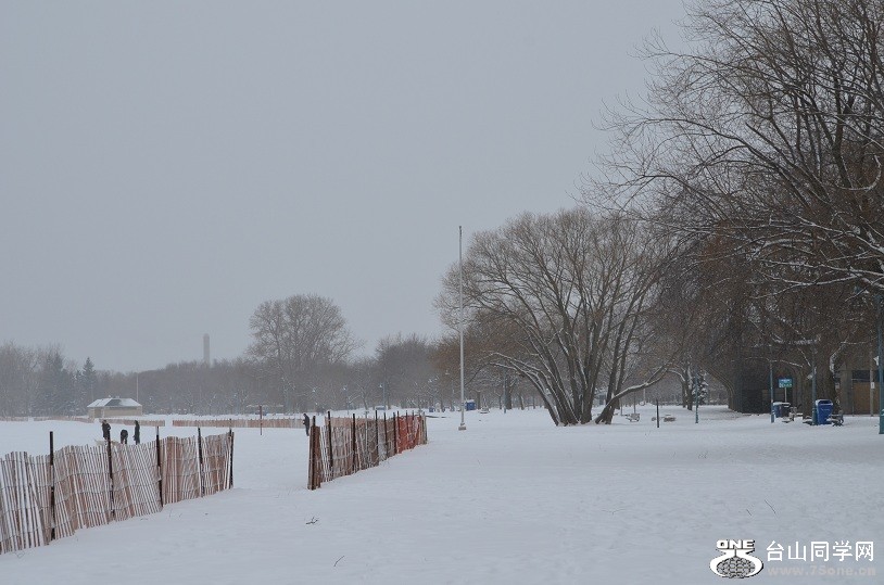 DSC_2478.JPG