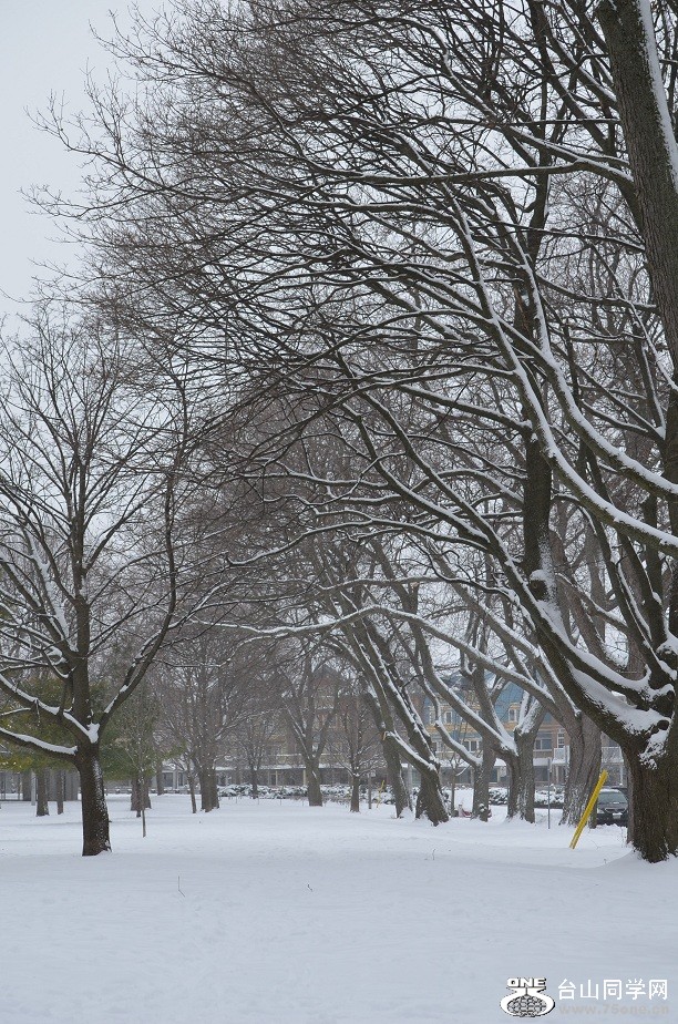 DSC_2519.JPG