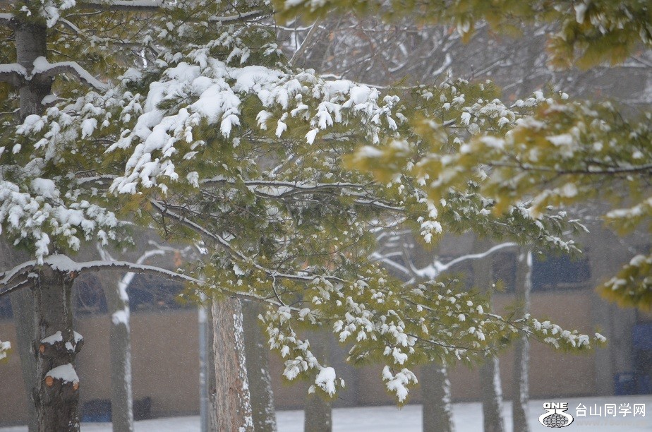DSC_2523.JPG