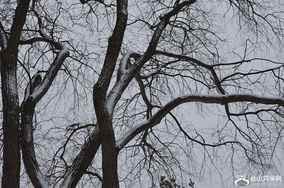 DSC_2525.JPG