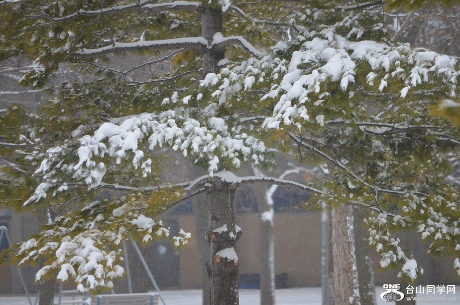 DSC_2522.JPG