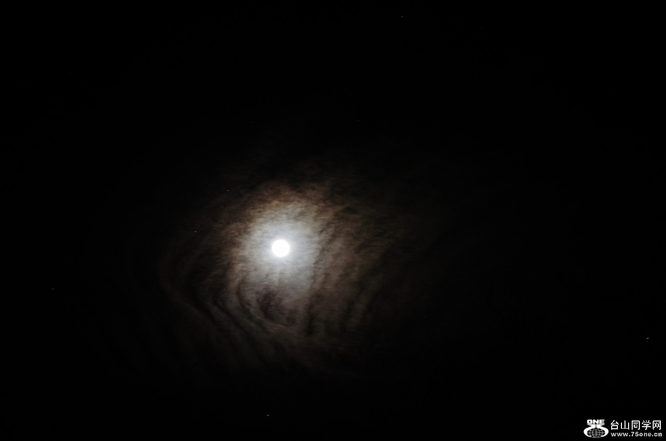 DSC_0528_21.jpg