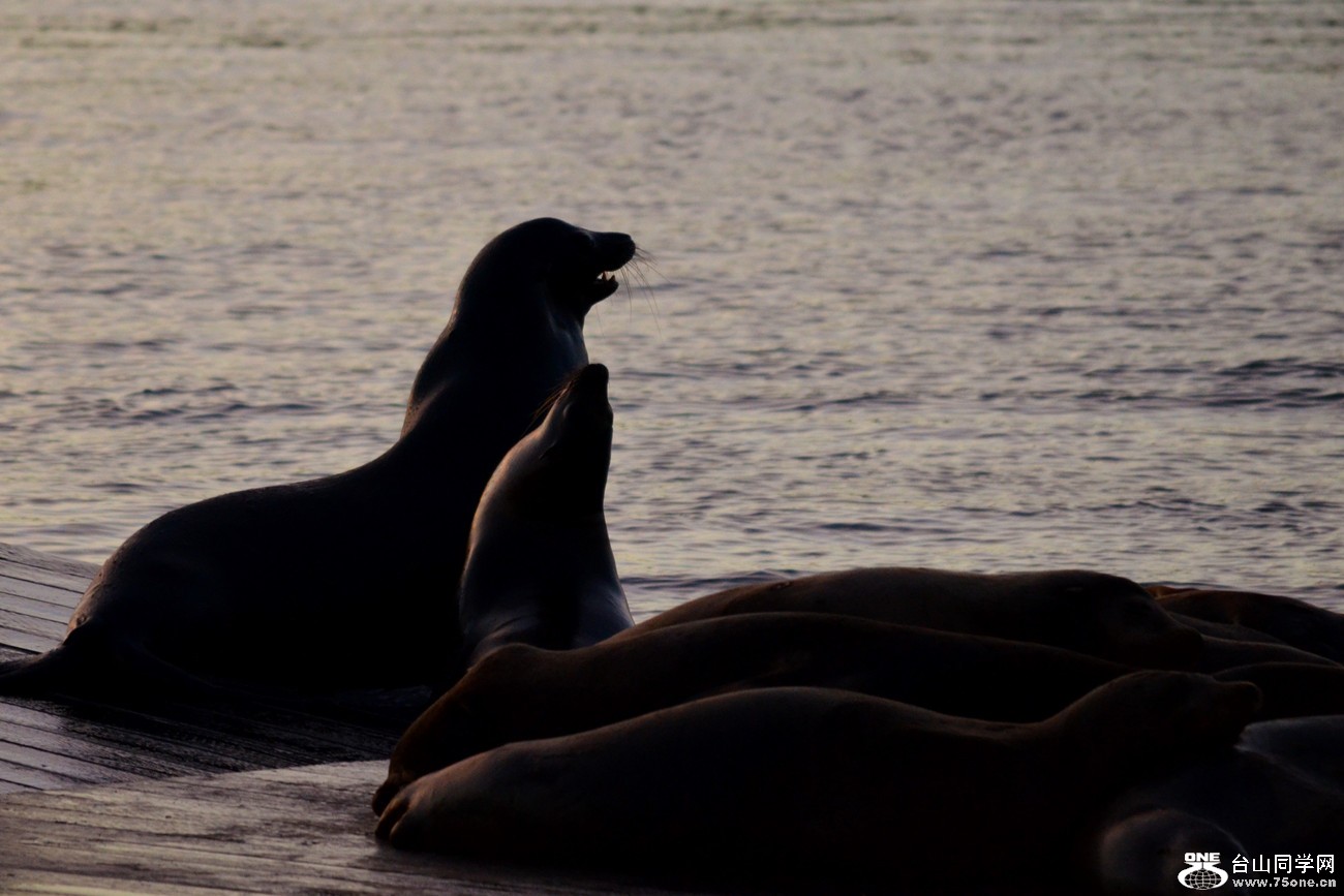 DSC_0480_63.jpg