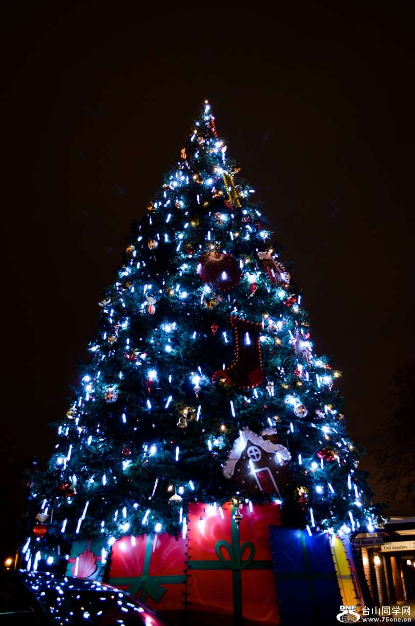 DSC_0162 (2)_12.jpg