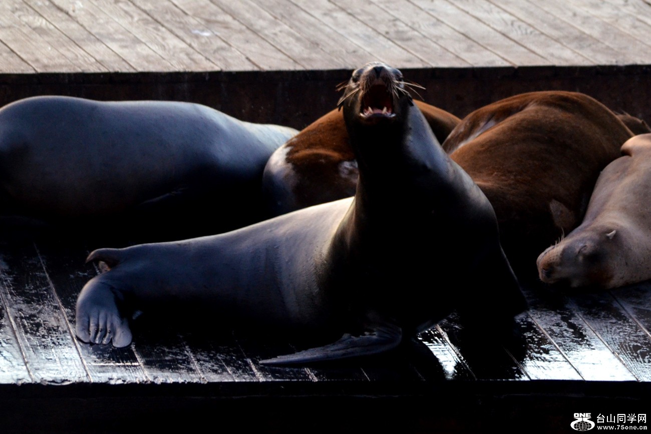 DSC_0438_07.jpg