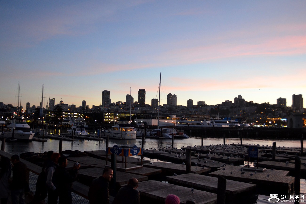 DSC_0638_50.jpg