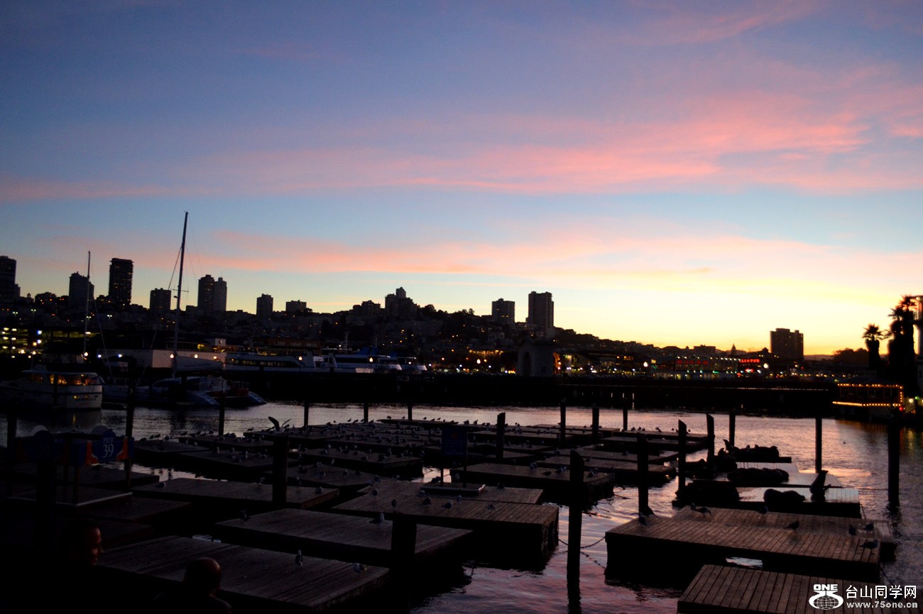 DSC_0635_51.jpg