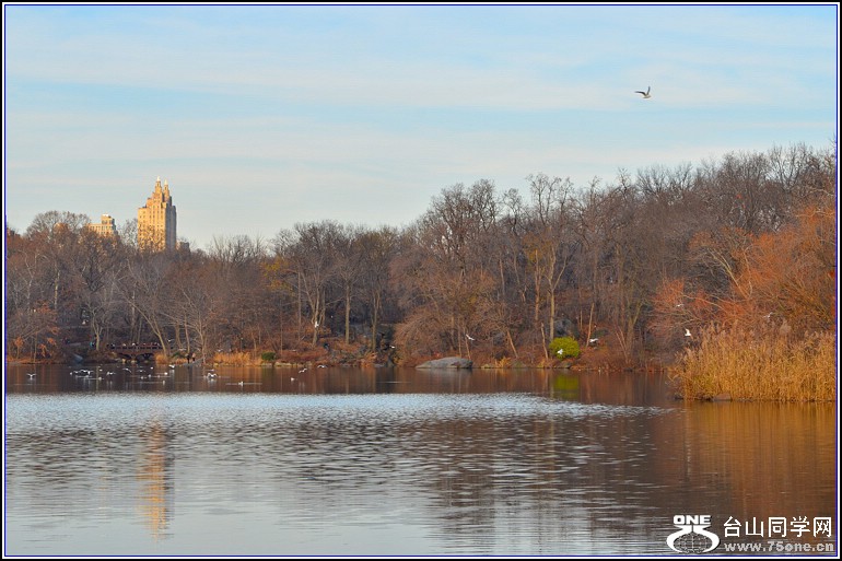 DSC_0285.jpg