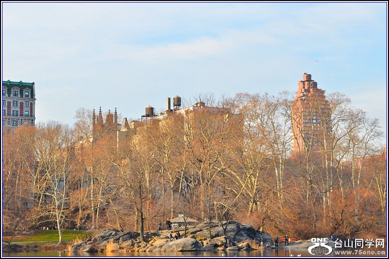 DSC_0249.jpg