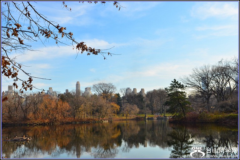 DSC_0259.jpg