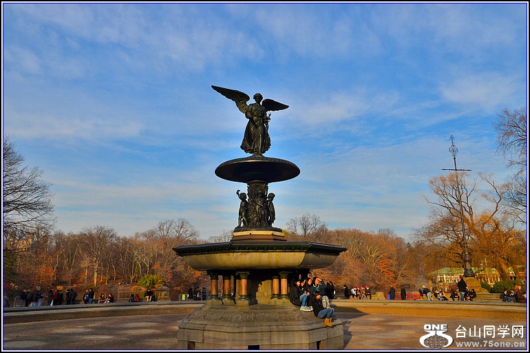 DSC_0295.jpg