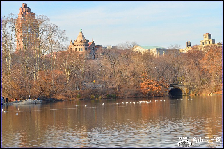 DSC_0250.jpg