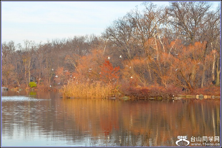 DSC_0284.jpg
