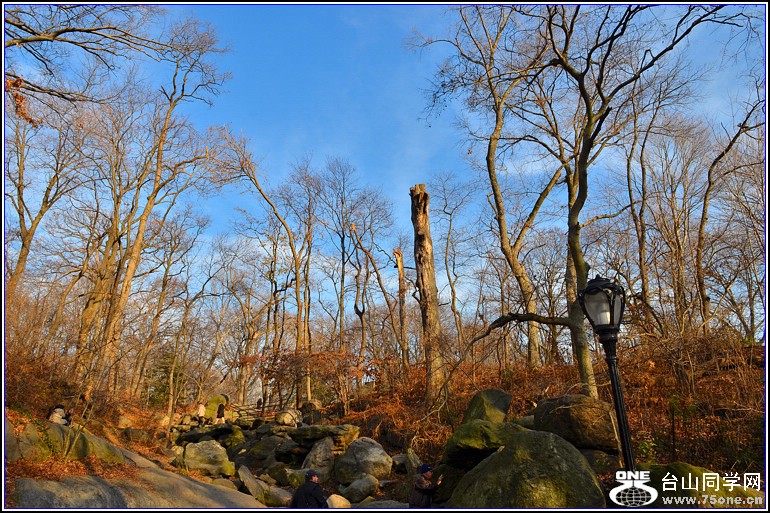 DSC_0245.jpg