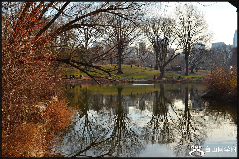 DSC_0265.jpg