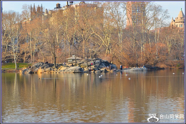 DSC_0251.jpg