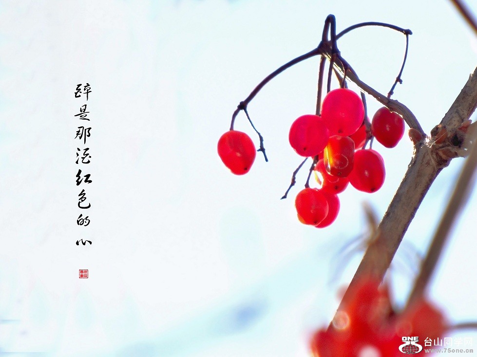 DSC00124.f.jpg