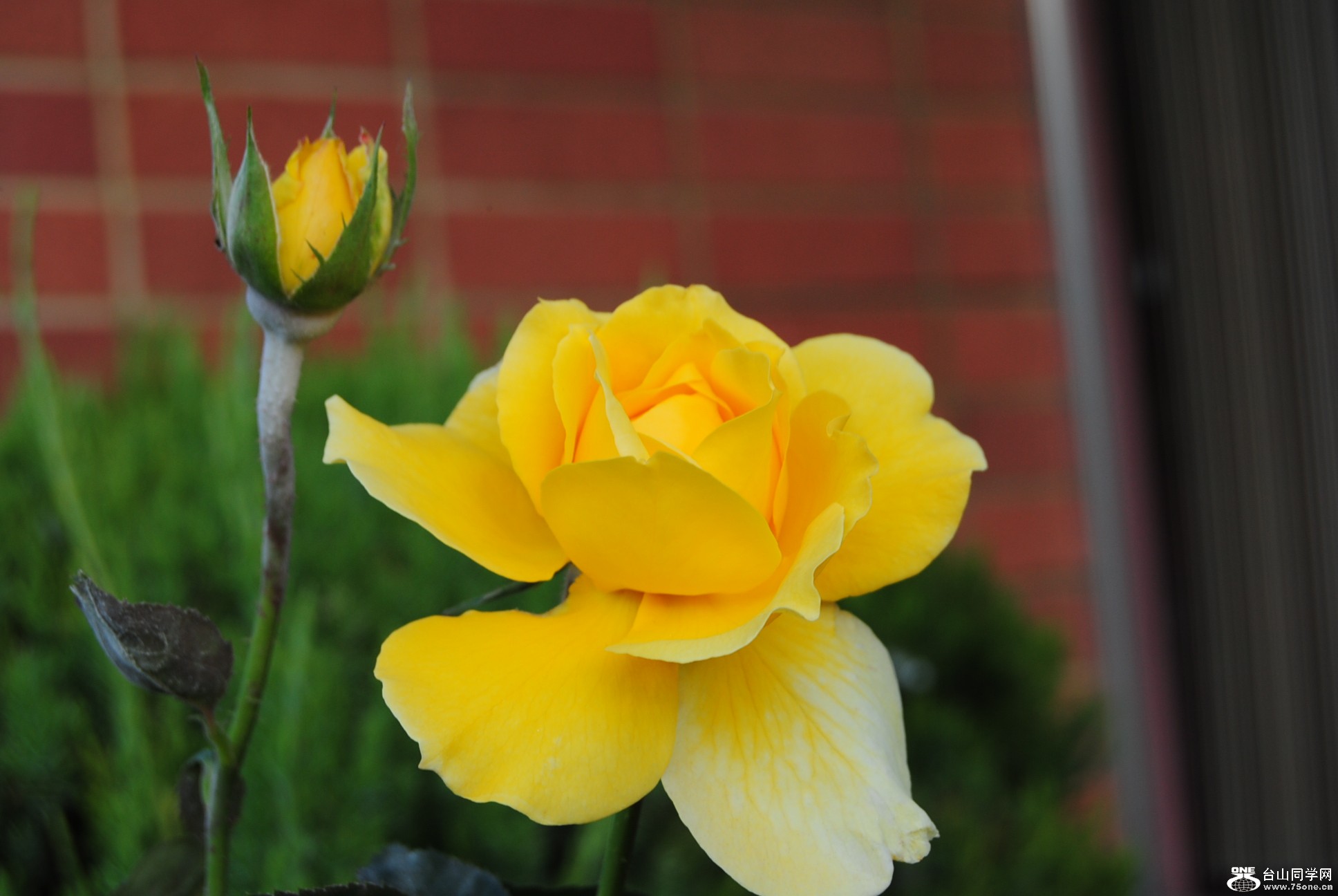 DSC_7463.JPG