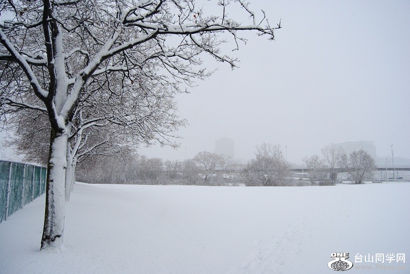 DSC_9818.JPG