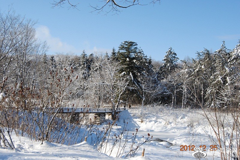 DSC_0030.JPG