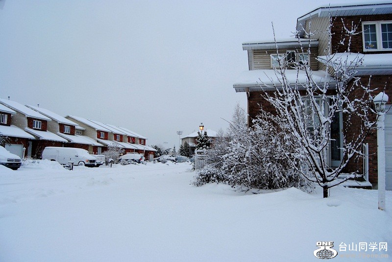 DSC_9805.JPG
