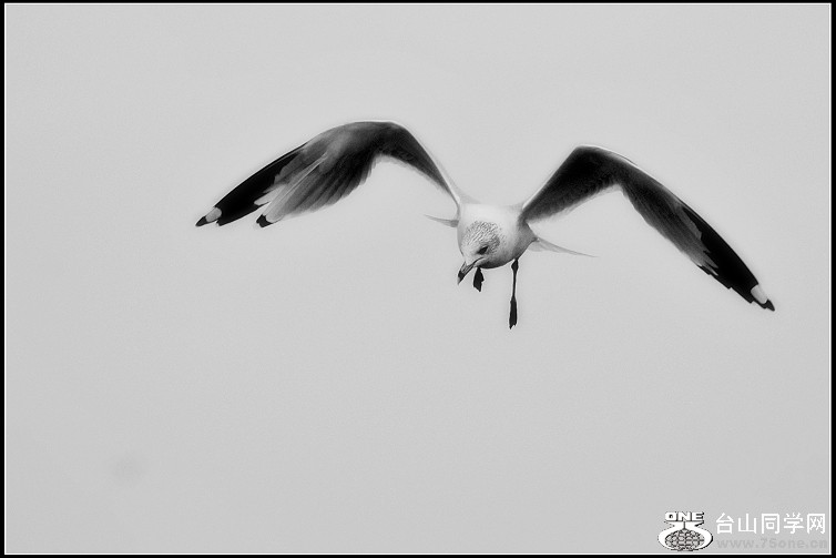 DSC_7958.JPG