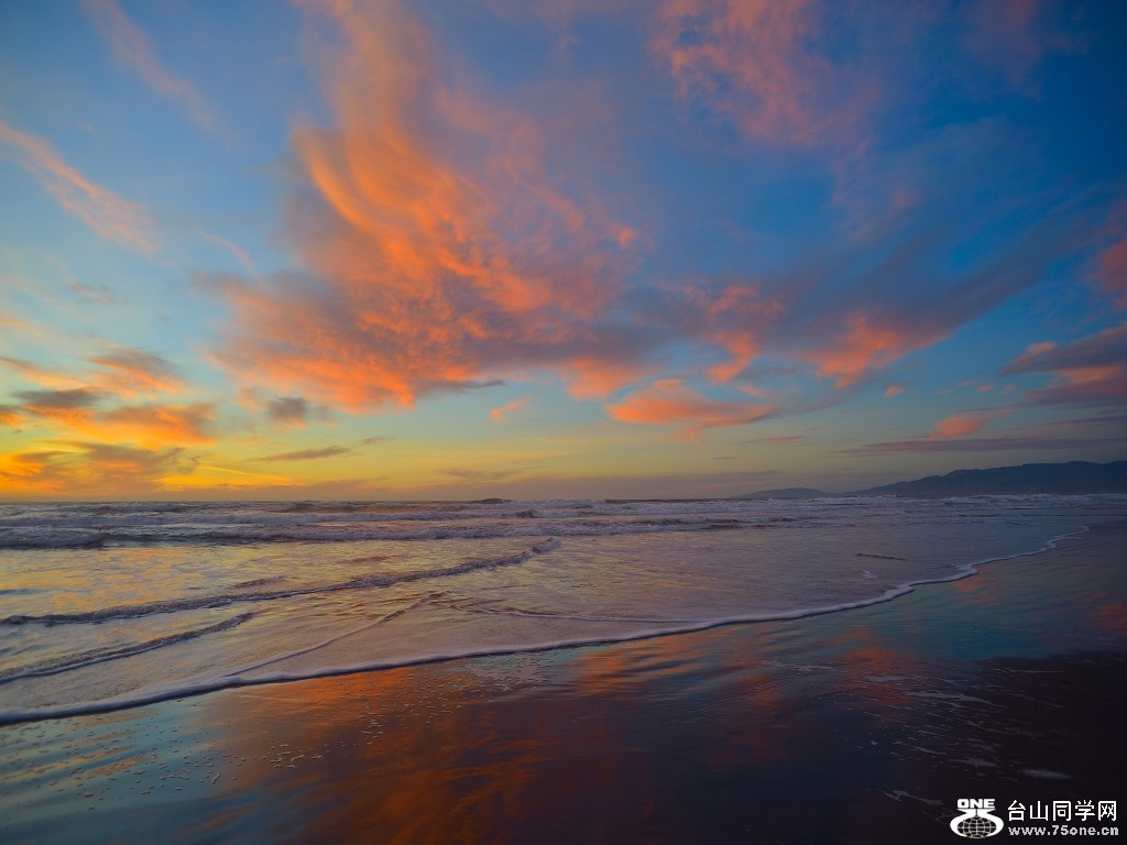DSC_0208_conew1.jpg