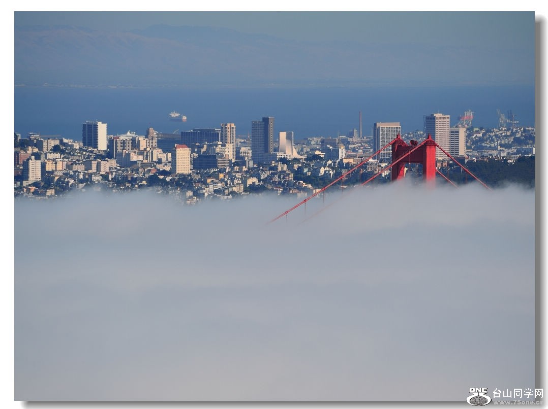 DSC_8063_conew1.jpg
