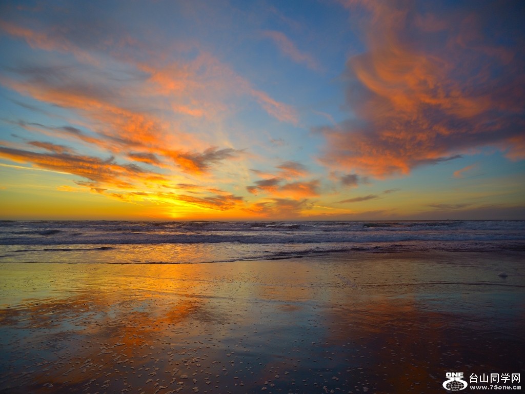 DSC_0207_conew1.jpg