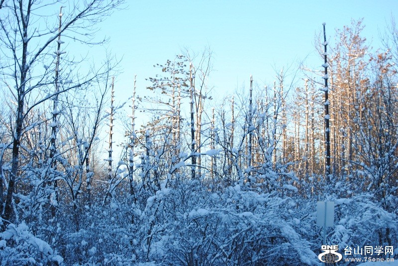 DSC_0095.JPG