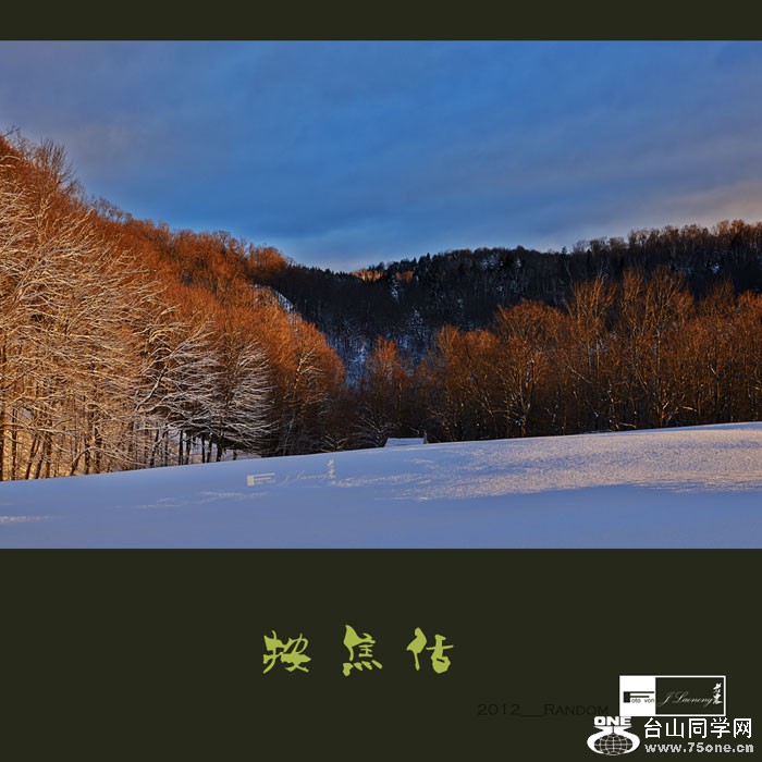 751DSD_6464.jpg
