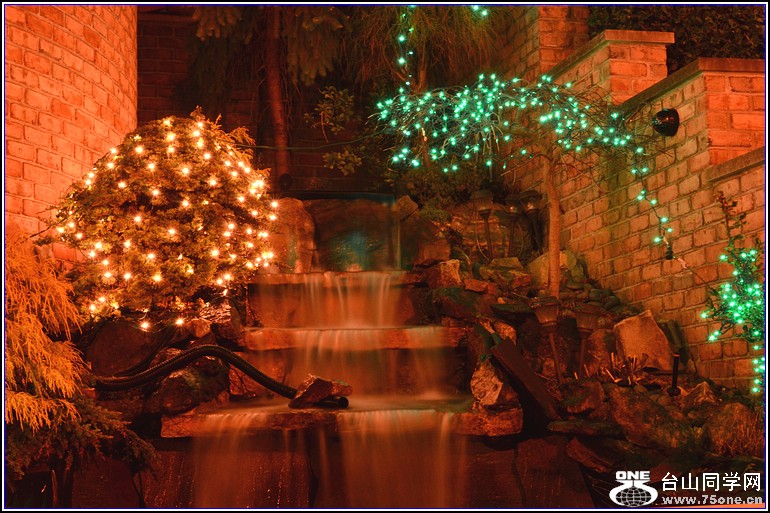 DSC_0539.jpg