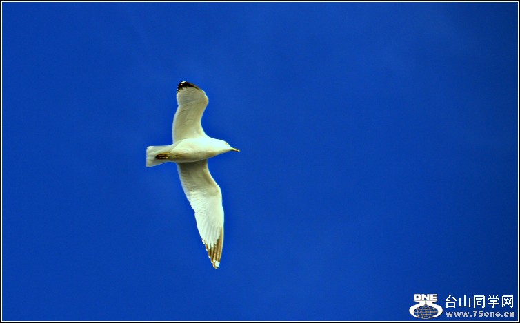 IMG_3089.JPG