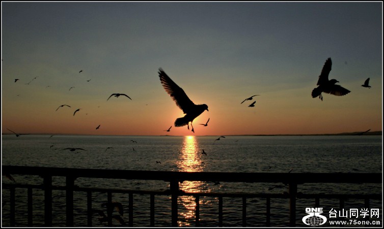 IMG_2970.JPG