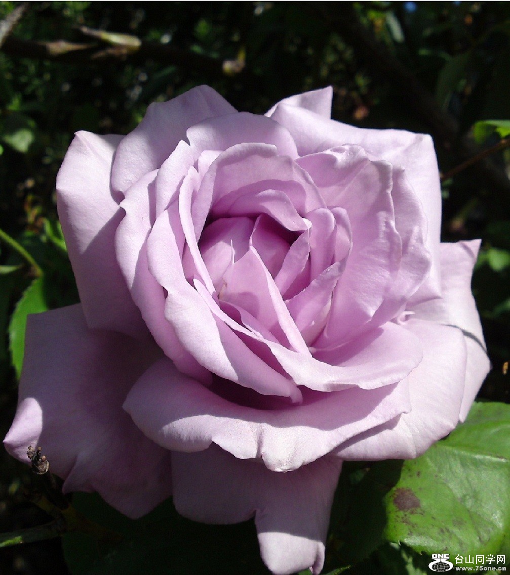 Phone pictures 021.jpg