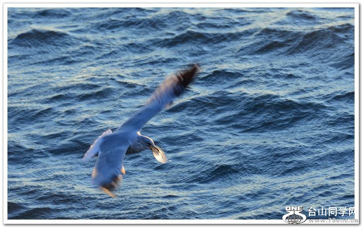 nEO_IMG_DSC_7004.jpg