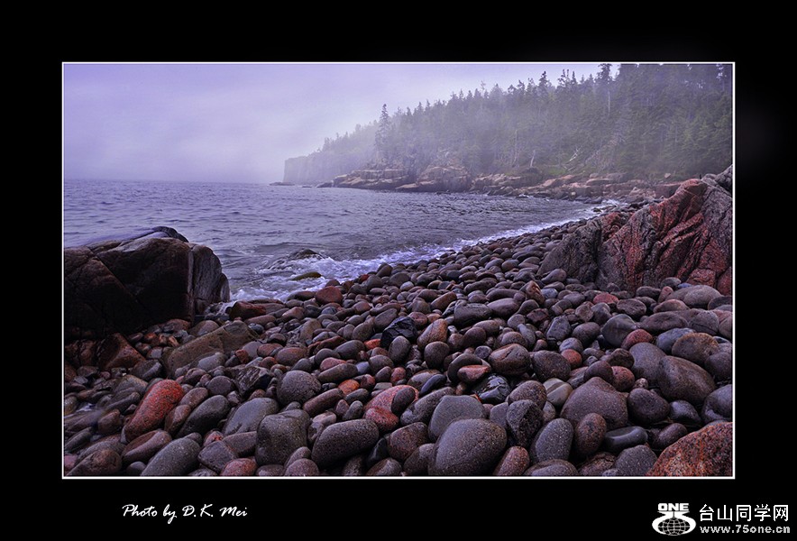 _DSC9579B.jpg
