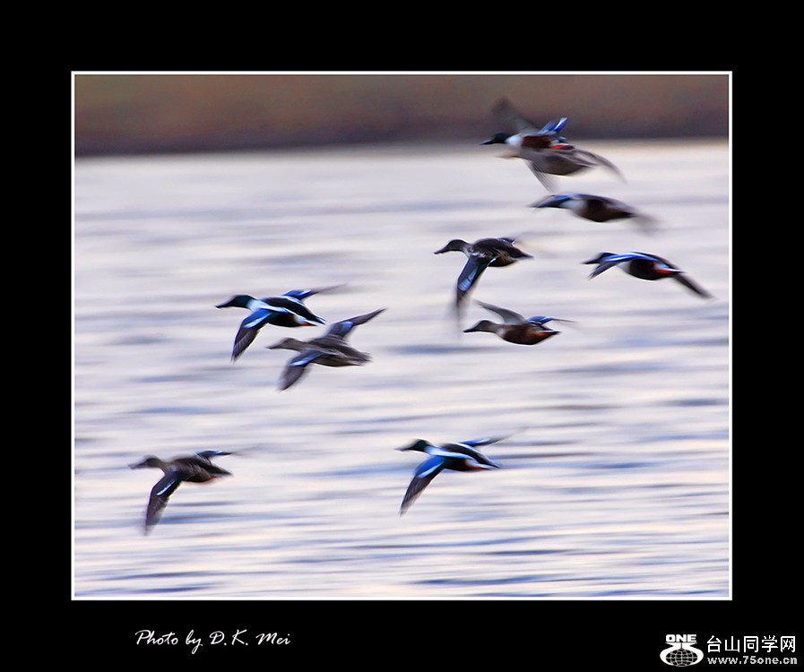 DSC_0076C.jpg
