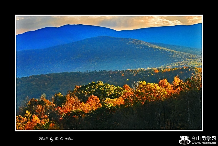 DSC_0091C.jpg